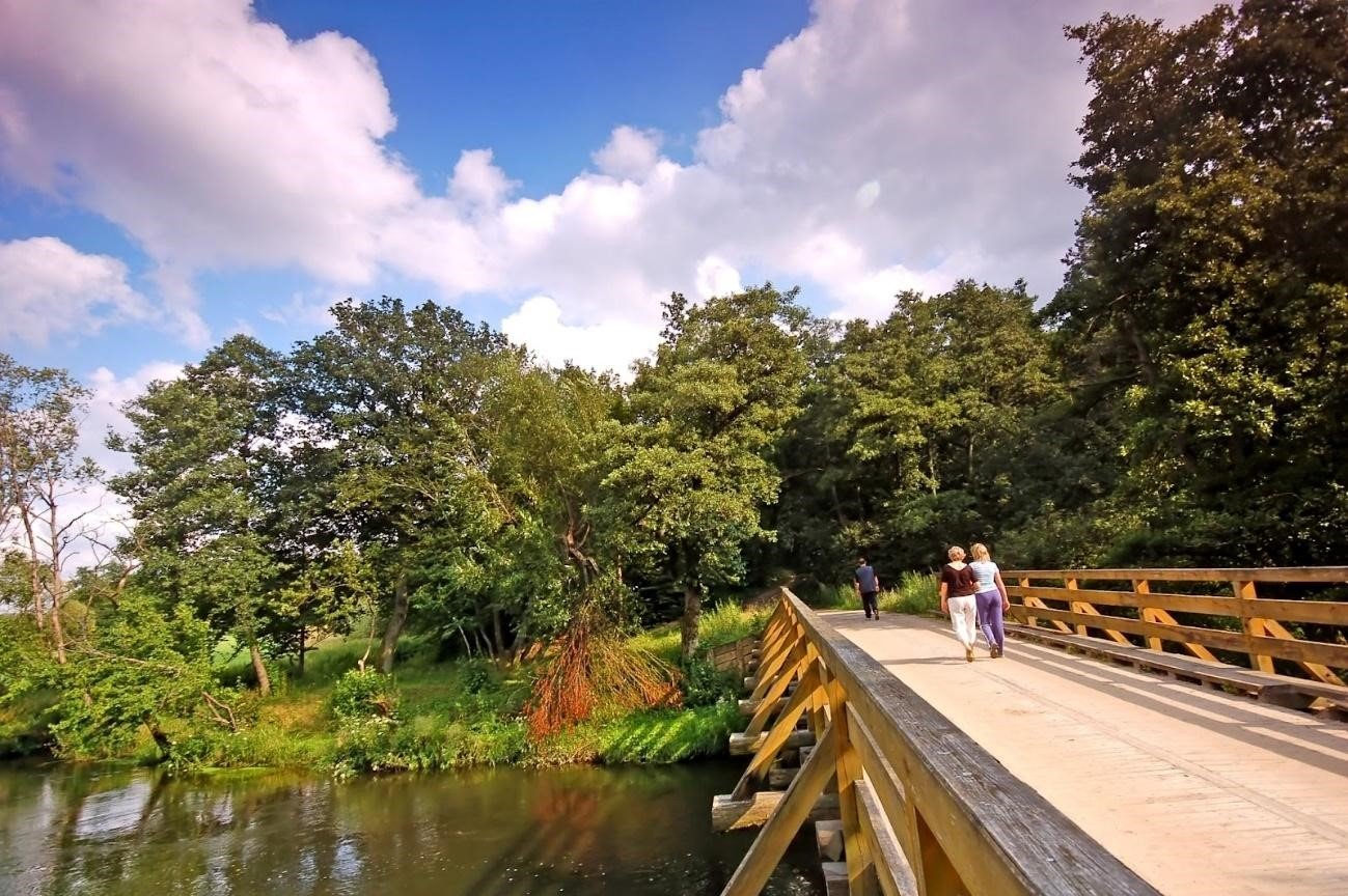 5 Ideias De Passeios Em Campos Do Jordão